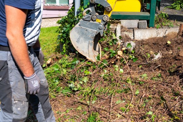 Hedge Removal Service in Los Angeles