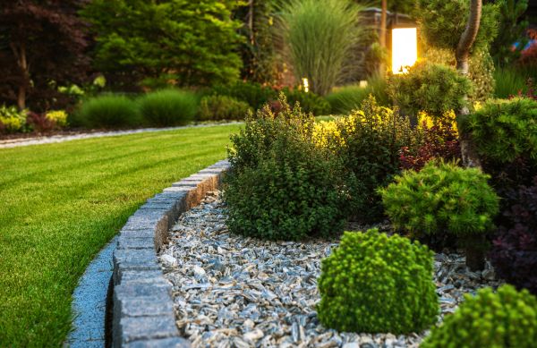 Cost of Bush Relocation in Los Angeles