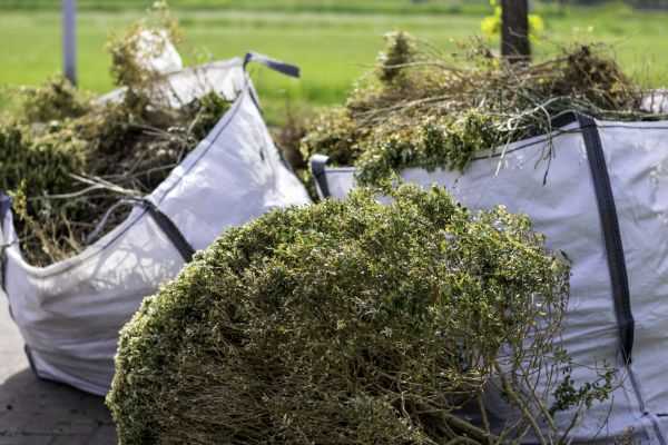 Shrubs Removal in Los Angeles